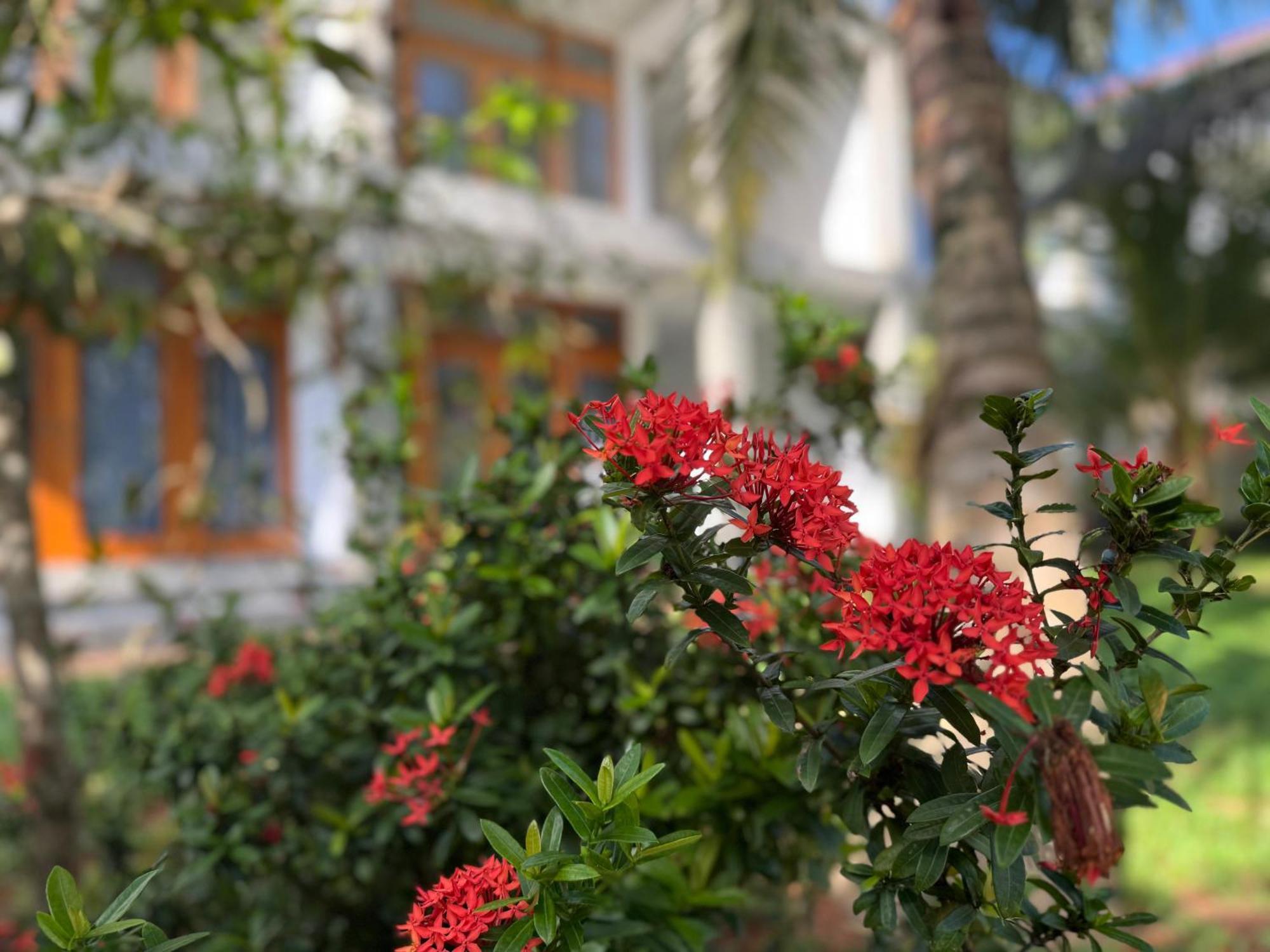Hotel New Ocean Breeze Madiha Matara Exterior foto